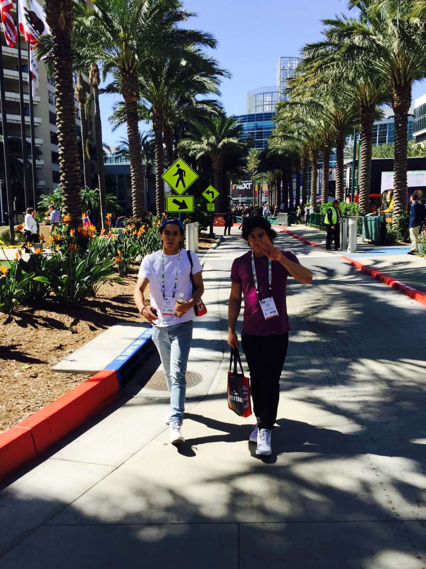McCann Jr. and Josiah walking under palm trees at an expo